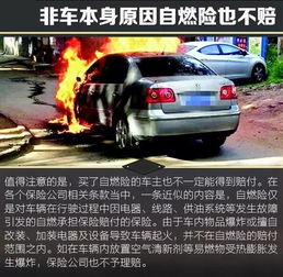 每年有多少汽车事故
